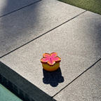 Signature Moisturising Cream