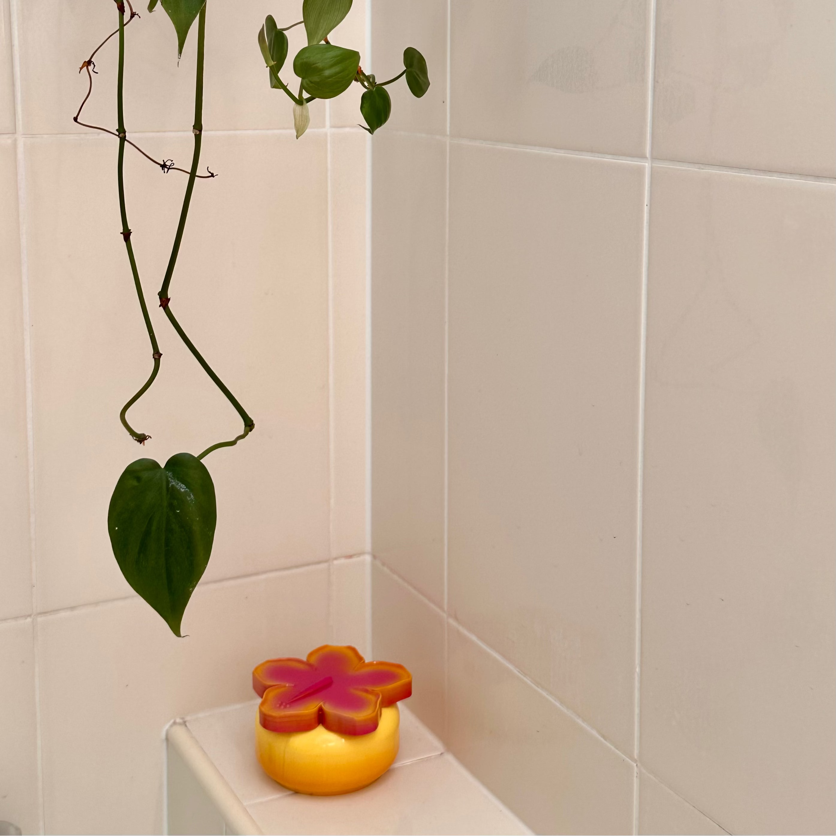 Signature Moisturising Cream